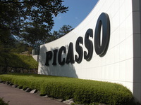 pikasokan.jpg