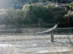 tsuribashi2.jpg