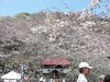 gotenyama.jpg