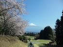 mt.fuji.jpg