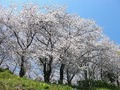 mtfuji.jpg
